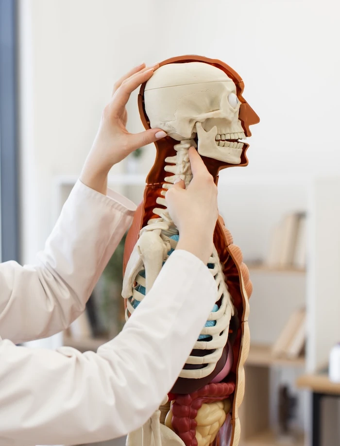 osteopatia strutturale